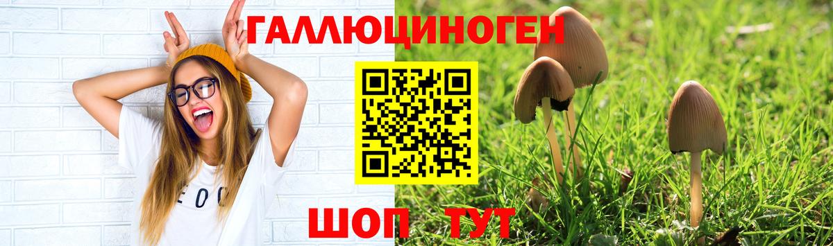 Галлюциногенные грибы Psilocybine cubensis  Галлюциногенные грибы GOLDEN TEACHER  Вход с VPN  Чапаевск 
